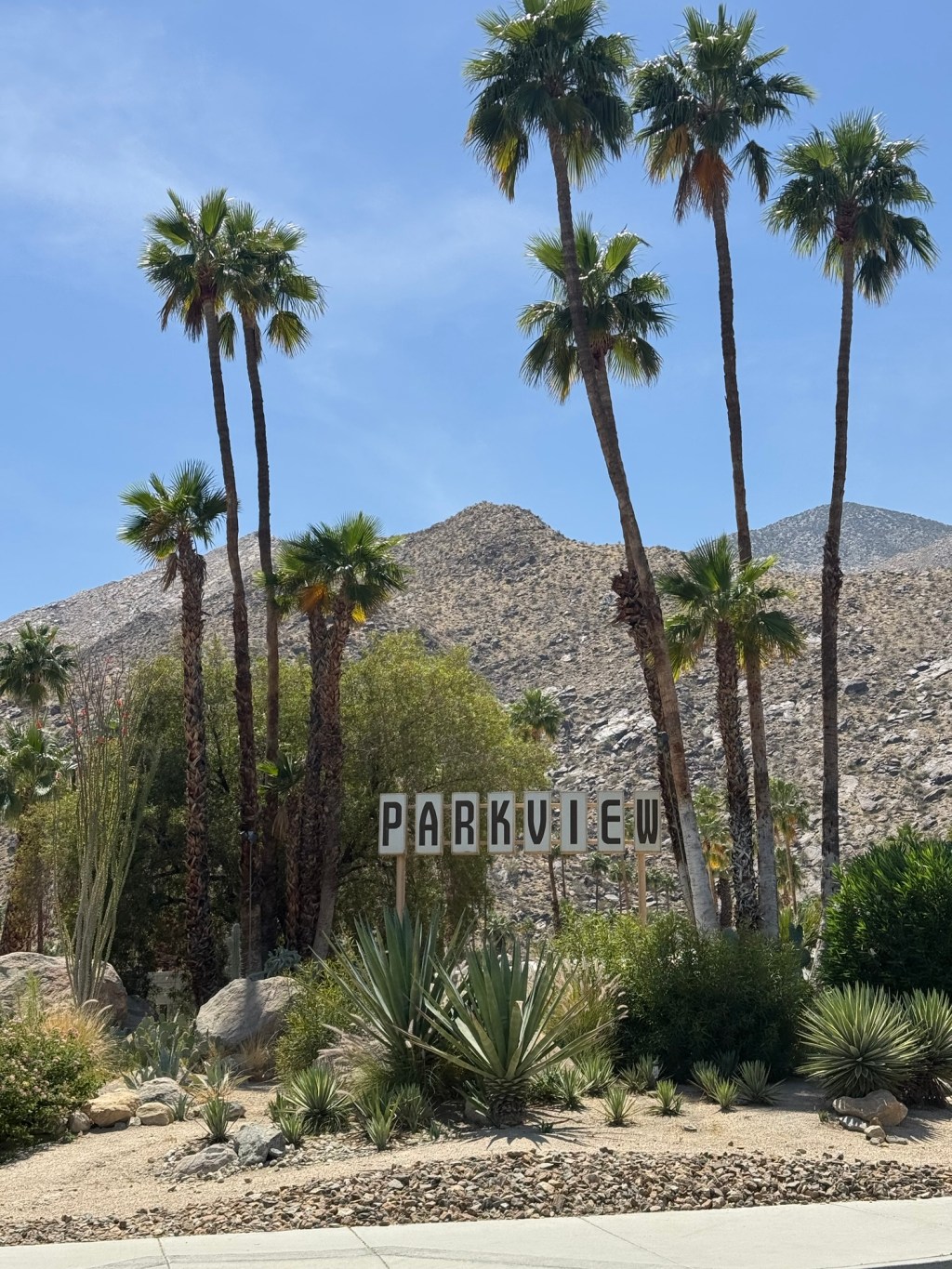 Palm Springs Sunshine